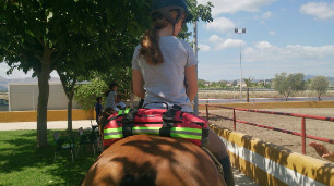 Конная полиция Elitebags